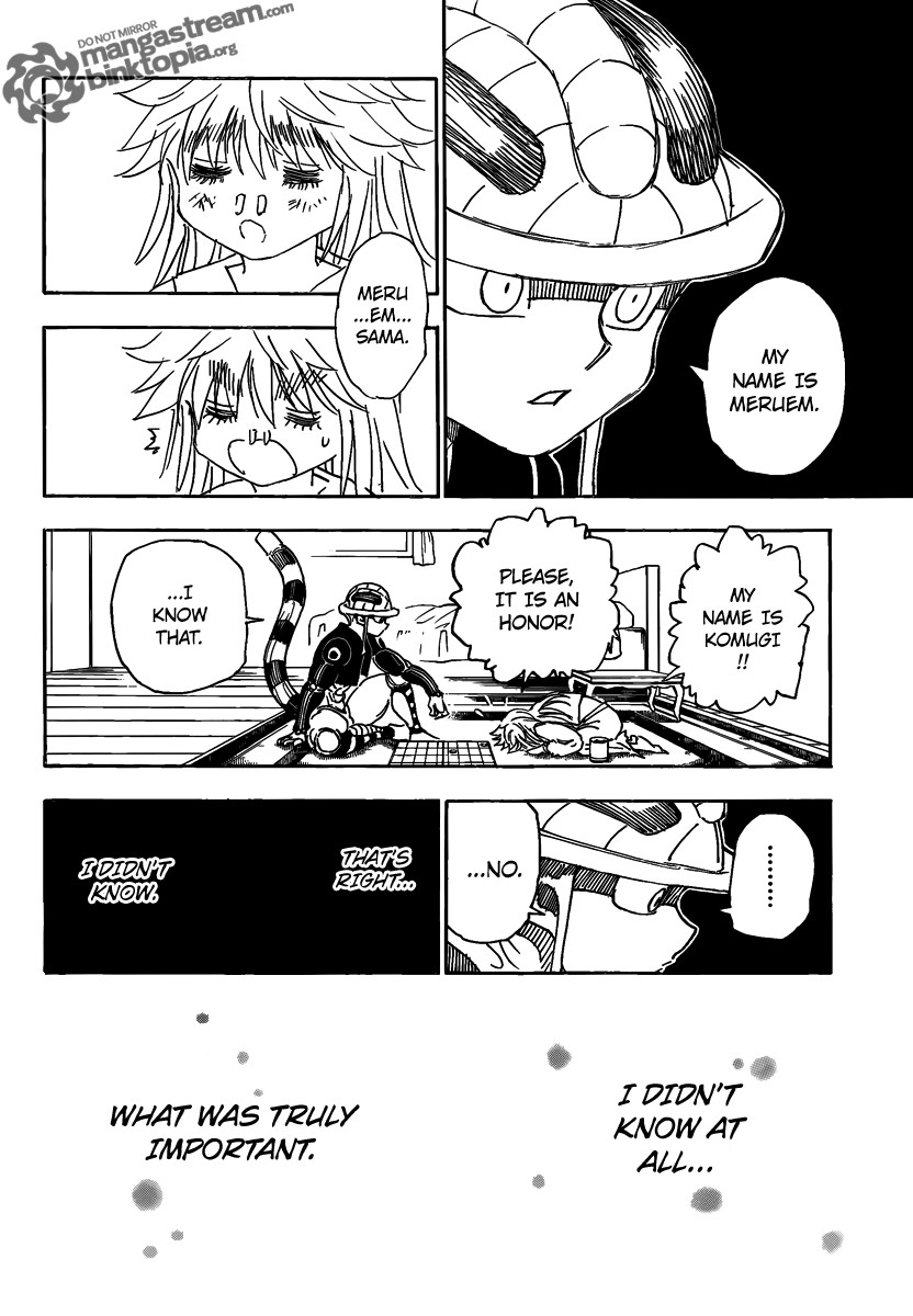 Hunter x Hunter Manga Chapter 317 page 6 - Answer