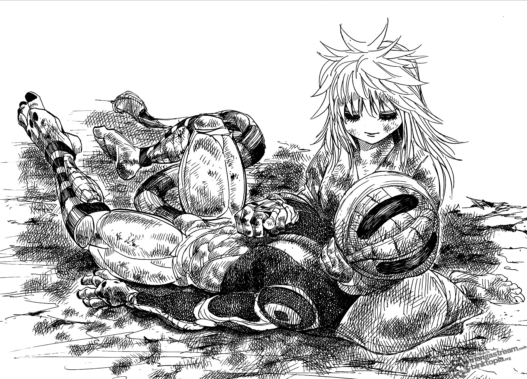 Hunter x Hunter Manga Chapter 318 page 10 - Final Will