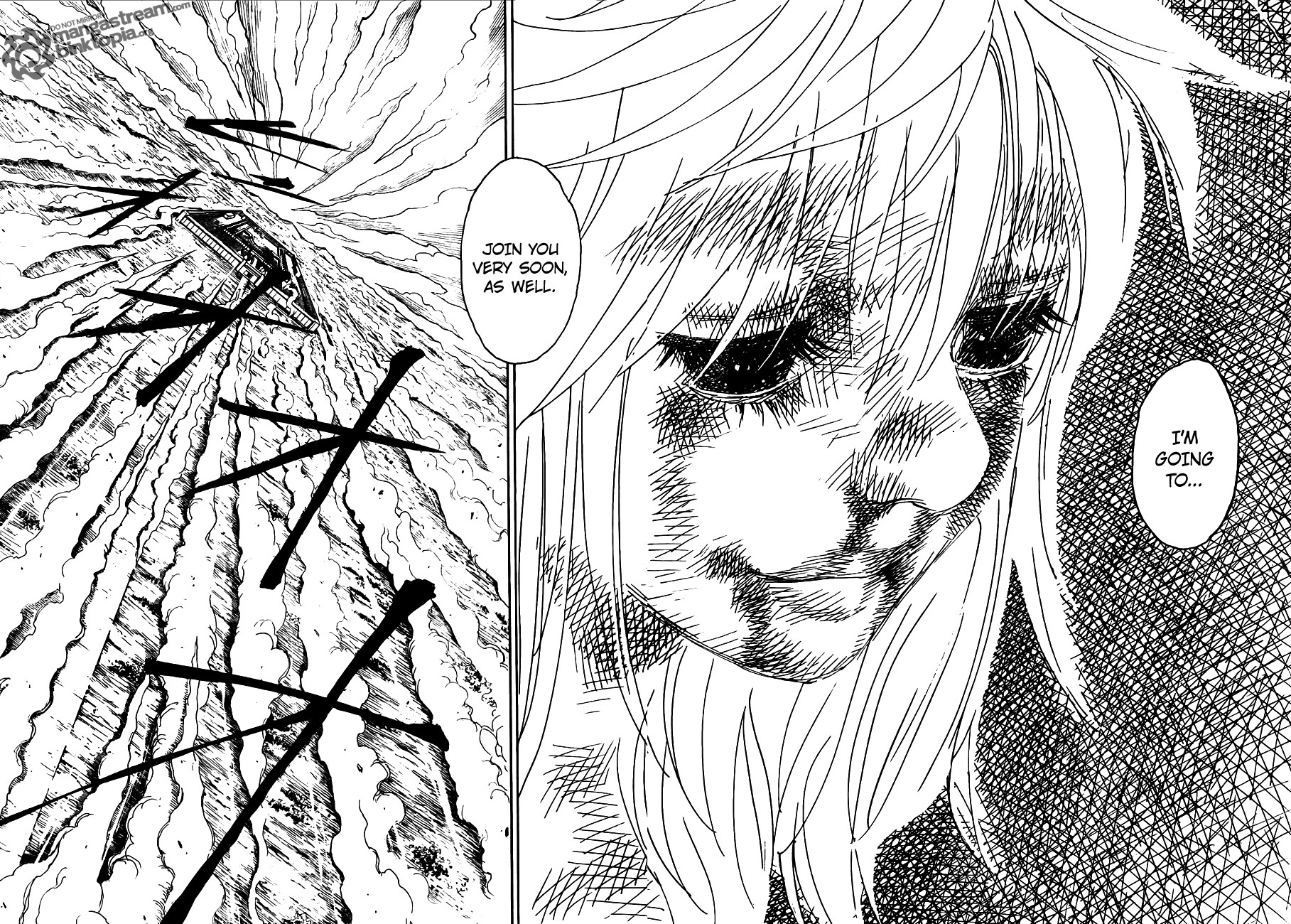 Hunter x Hunter Manga Chapter 318 page 11 - Final Will