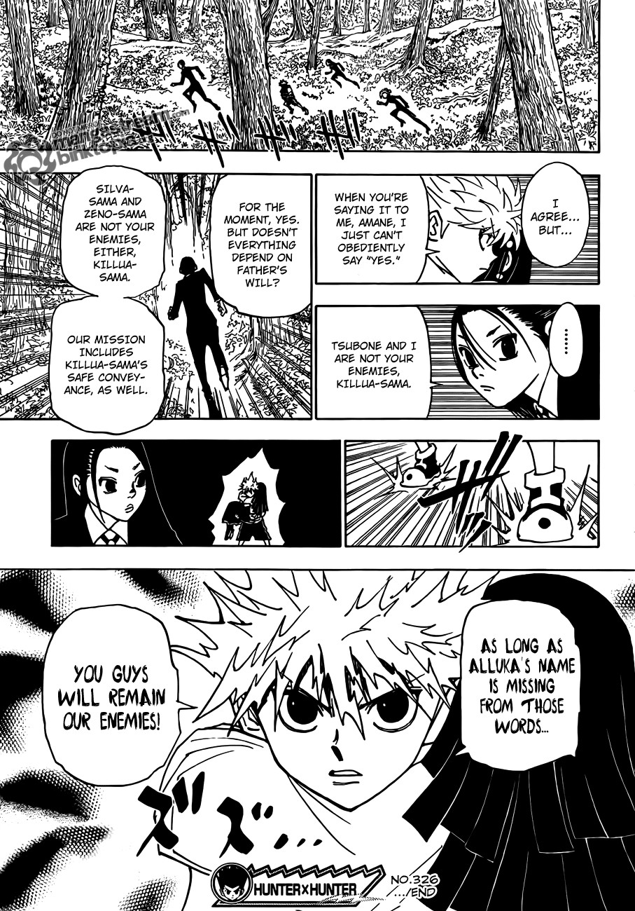 Hunter x Hunter Manga Chapter 326 page 19 - Open Hostilities