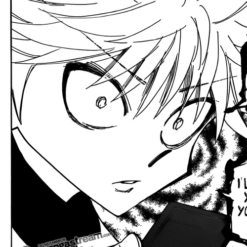 Hunter x Hunter Manga Chapter 326 (Open Hostilities) cover