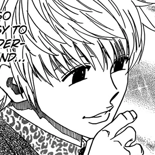 Hunter x Hunter Manga Chapter 329 (Spy) cover
