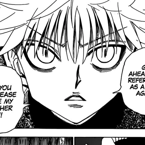 Hunter x Hunter Manga Chapter 330 (Confession) cover