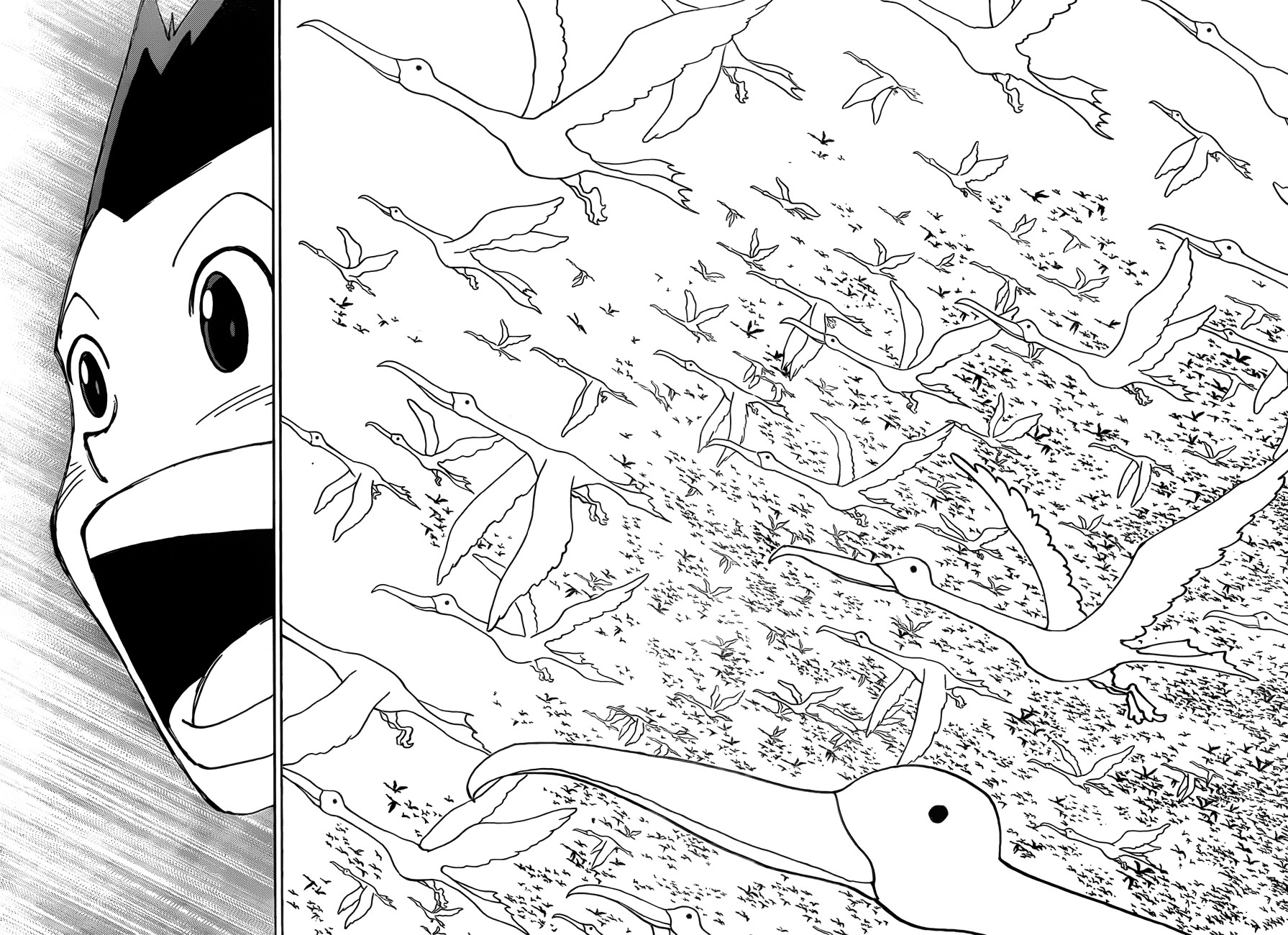 Hunter x Hunter Manga Chapter 339 page 9 - Stillness