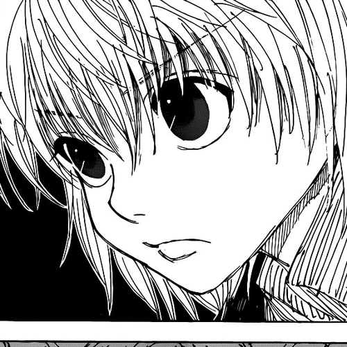 Hunter x Hunter Manga Chapter 339 (Stillness) cover