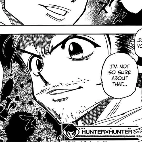 Hunter x Hunter Manga Chapter 342 (Challenge) cover