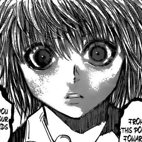 Hunter x Hunter Manga Chapter 343 (Invitation) cover