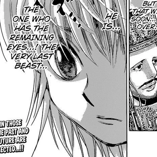 Hunter x Hunter Manga Chapter 344 (Author) cover