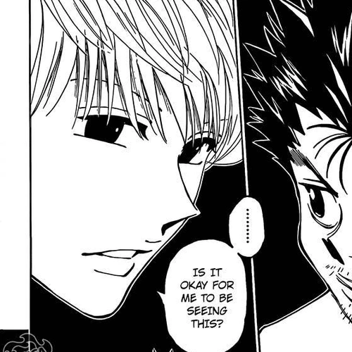 Hunter x Hunter Manga Chapter 347 (Inauguration) cover