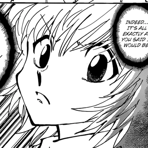 Hunter x Hunter Manga Chapter 361 (Withdraw) cover