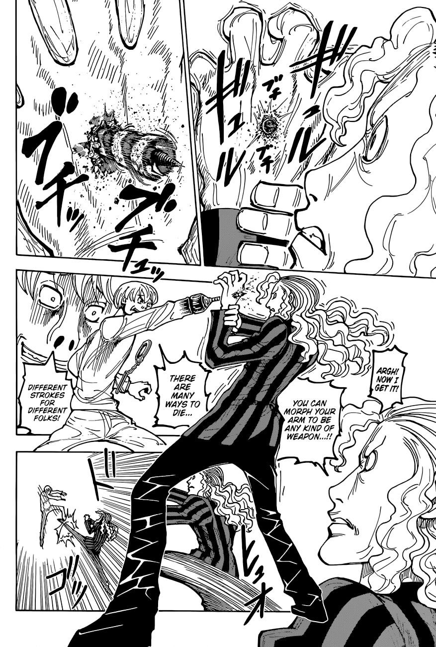 Hunter x Hunter Manga Chapter 391 page 17 - Clash: Part 2