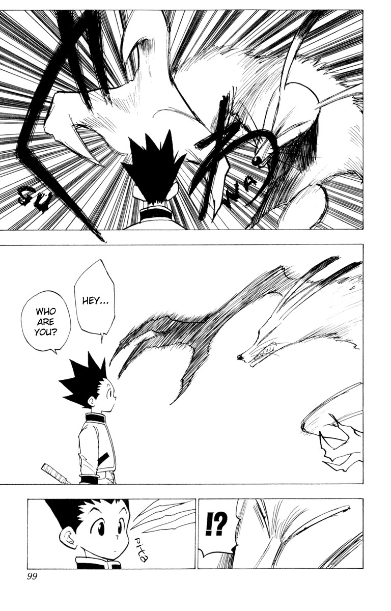 Hunter x Hunter Manga Chapter 4 page 17 - Kiriko: Wicked Magical Vulpes
