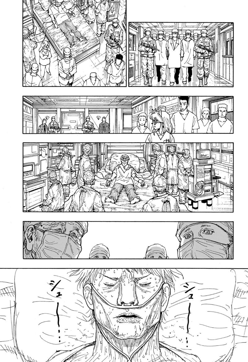 Hunter x Hunter Manga Chapter 404 page 11 - Speculation