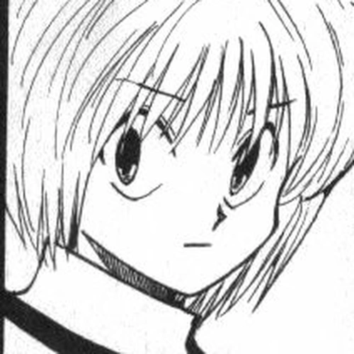 Hunter x Hunter Manga Chapter 44 (The Heavens Arena) cover