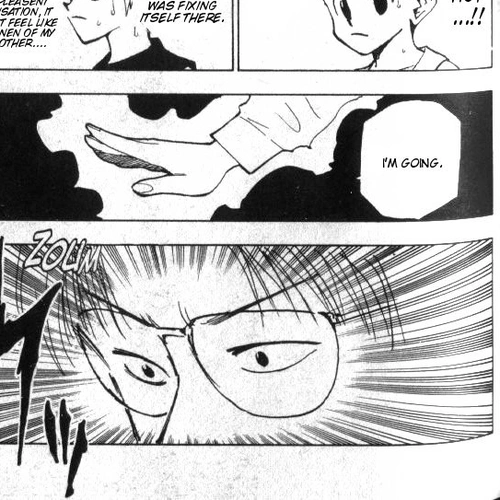 Hunter x Hunter Manga Chapter 48 (Hisoka's Terms) cover